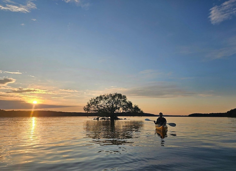 Picture 4 for Activity Stockholm: Sunset Kayak Tour on Lake Mälaren with Tea & Cake