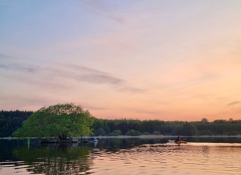 Picture 7 for Activity Stockholm: Sunset Kayak Tour on Lake Mälaren with Tea & Cake