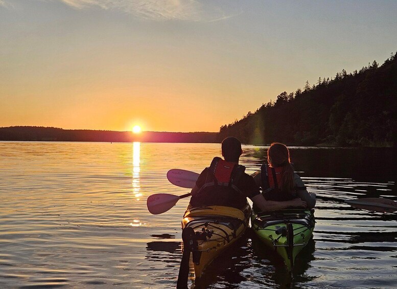 Picture 1 for Activity Stockholm: Sunset Kayak Tour on Lake Mälaren with Tea & Cake