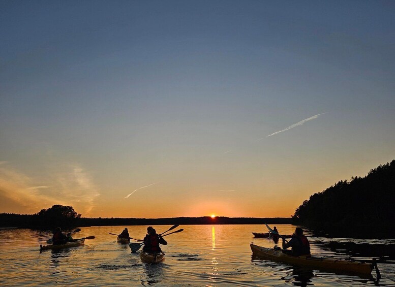 Picture 11 for Activity Stockholm: Sunset Kayak Tour on Lake Mälaren with Tea & Cake