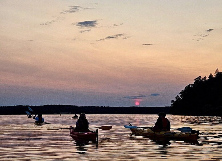 Picture 14 for Activity Stockholm: Sunset Kayak Tour on Lake Mälaren with Tea & Cake