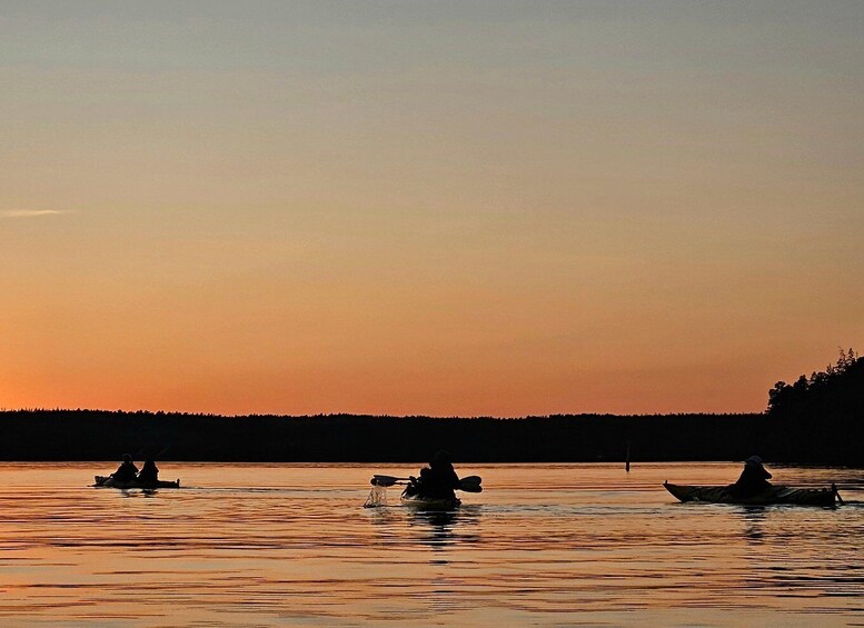 Picture 5 for Activity Stockholm: Sunset Kayak Tour on Lake Mälaren with Tea & Cake