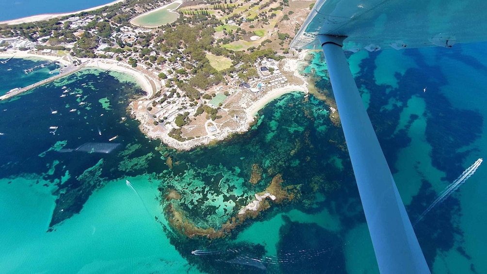 Picture 1 for Activity From Perth: Rottnest Grand Scenic Flight