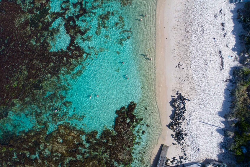 Picture 6 for Activity From Perth: Rottnest Grand Scenic Flight