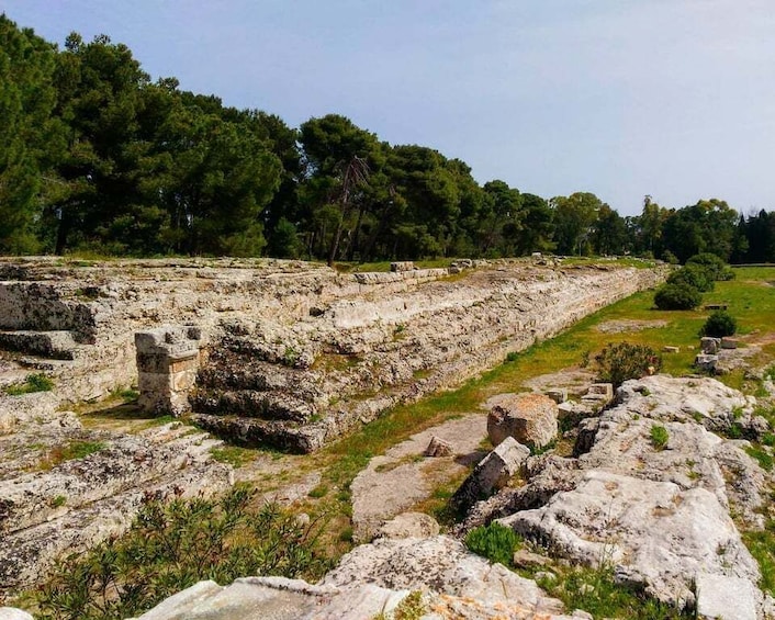 Picture 1 for Activity Syracuse: Greek Theater and Neapolis Guided Private Tour