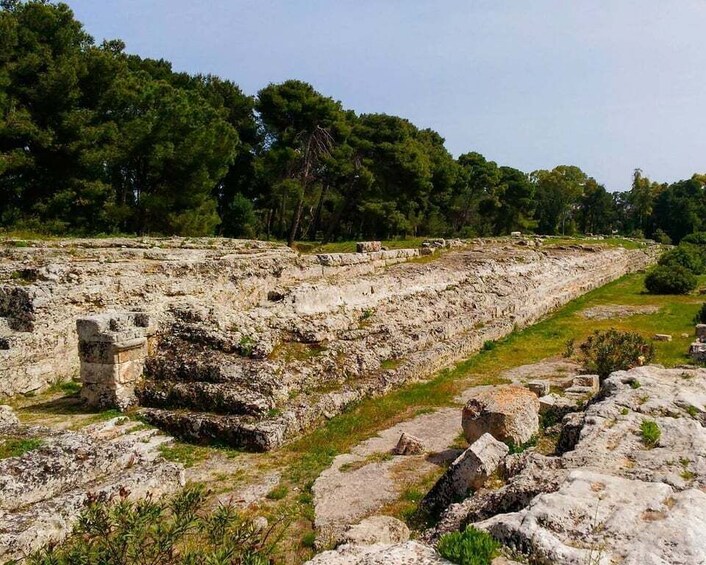 Picture 1 for Activity Syracuse: Greek Theater and Neapolis Guided Private Tour