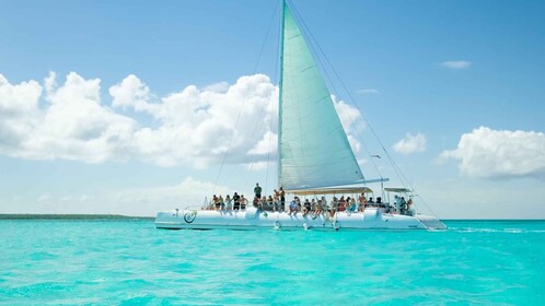 From Punta Cana: Saona Island Catamaran Tour w/ Buffet Lunch