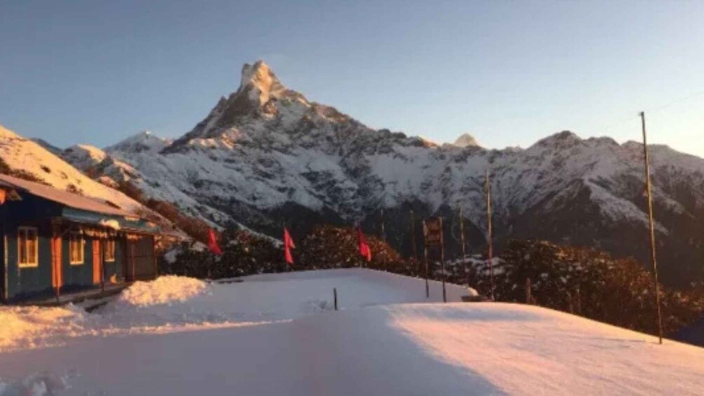 Picture 1 for Activity Pokhara: 4-Day Mardi Himal Trek with Guide & Himalayan Views