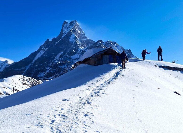Picture 37 for Activity Pokhara: 4-Day Mardi Himal Trek with Guide & Himalayan Views