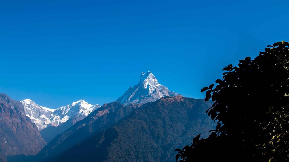 Picture 3 for Activity From Pokhara: 4-Day Mardi Himal Trek