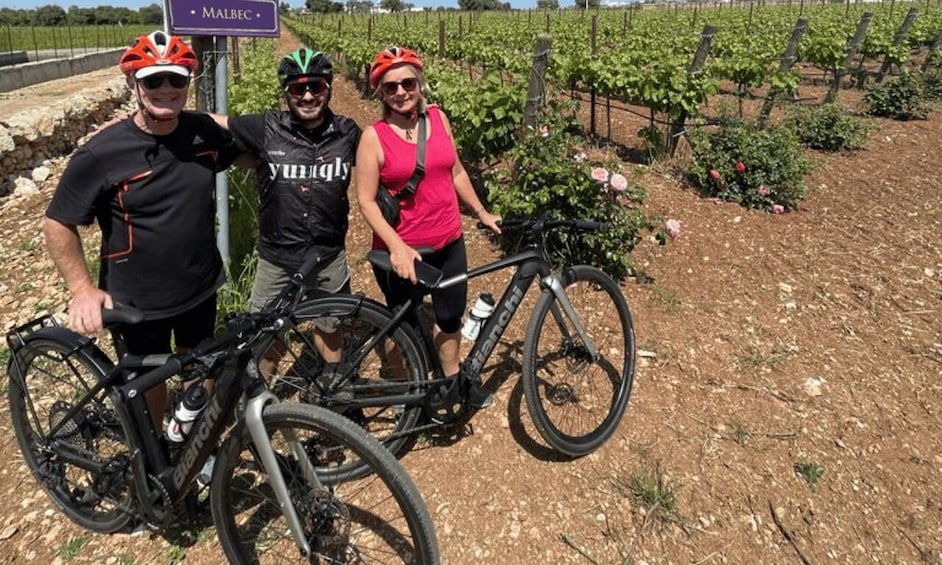 Picture 3 for Activity Alberobello: E-Bike Tour with Focaccia and Wine