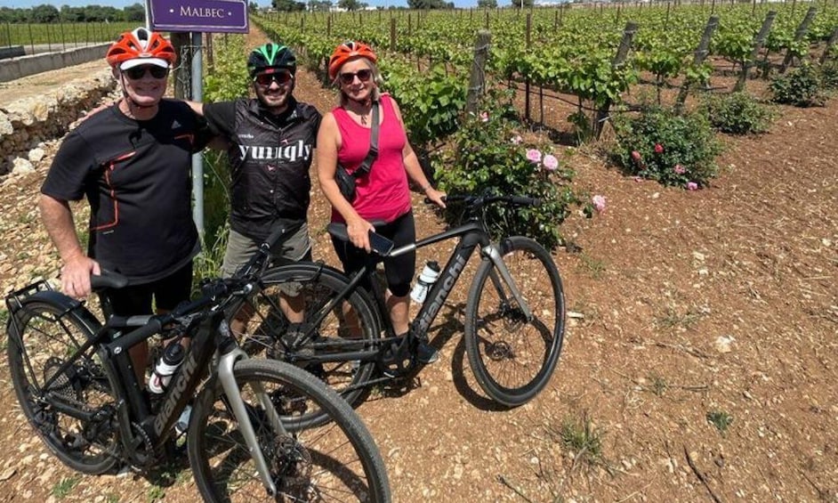 Picture 8 for Activity Alberobello: E-Bike Tour with Focaccia and Wine