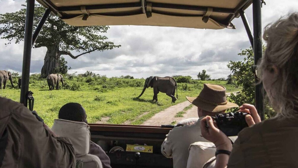 Picture 1 for Activity 6 Days Camping Lake Nakuru, L. Naivasha And Maasai Mara