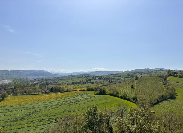 Picture 10 for Activity Parma Food Tour: Parmigiano Reggiano & Prosciutto di Parma