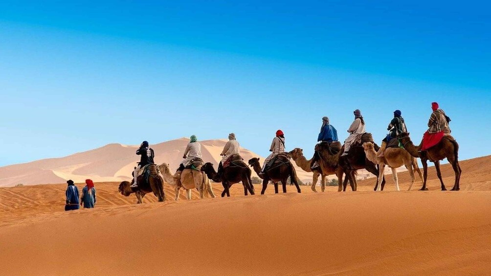 Desert Odyssey: 5-Day Tour from Casablanca's Gateway