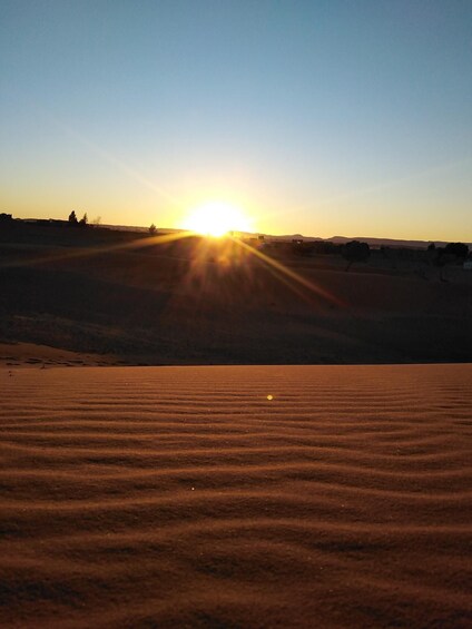 Picture 5 for Activity Desert Odyssey: 5-Day Tour from Casablanca's Gateway