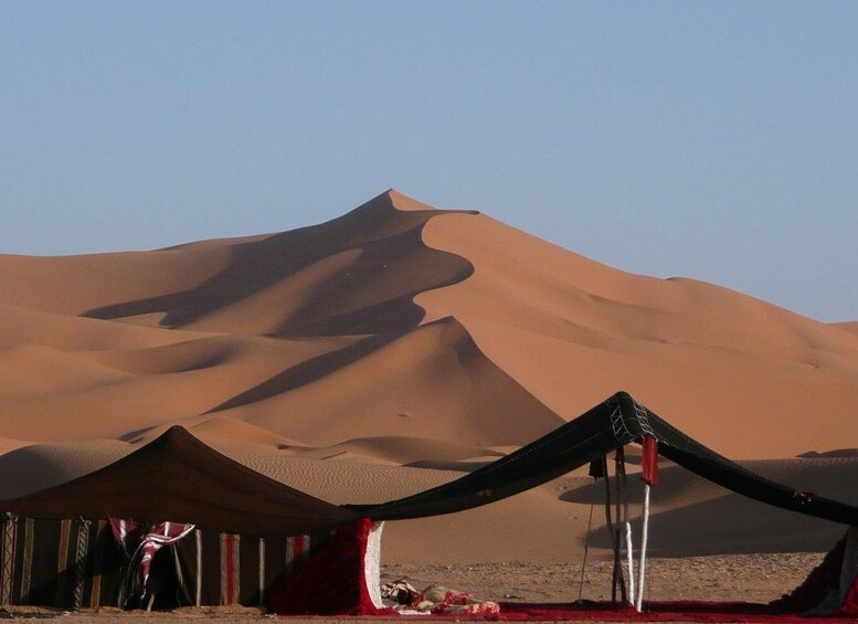 Picture 2 for Activity Desert Odyssey: 5-Day Tour from Casablanca's Gateway