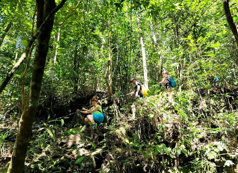 Picture 13 for Activity From Hue: Camping Trip to Bach Ma National Park