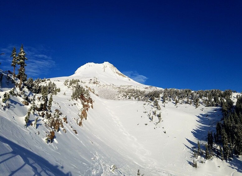 Picture 2 for Activity From Portland: Full Day Gorge Waterfalls & Mt. Hood Tour