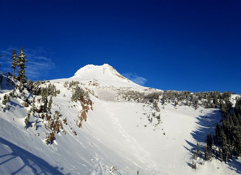 Picture 2 for Activity From Portland: Full Day Gorge Waterfalls & Mt. Hood Tour