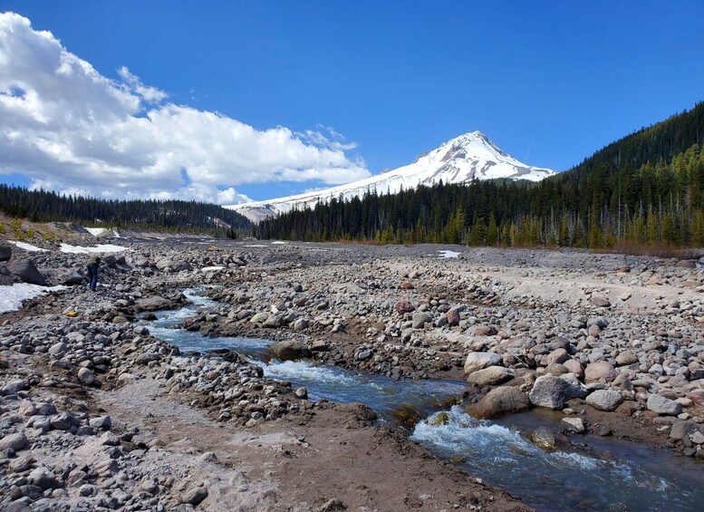 Picture 4 for Activity From Portland: Full Day Gorge Waterfalls & Mt. Hood Tour