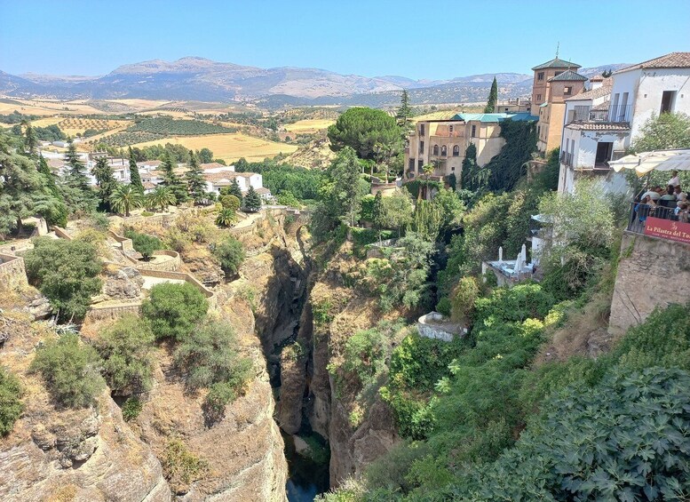 Picture 12 for Activity Ronda & Setenil de las Bodegas - SemiPrivate