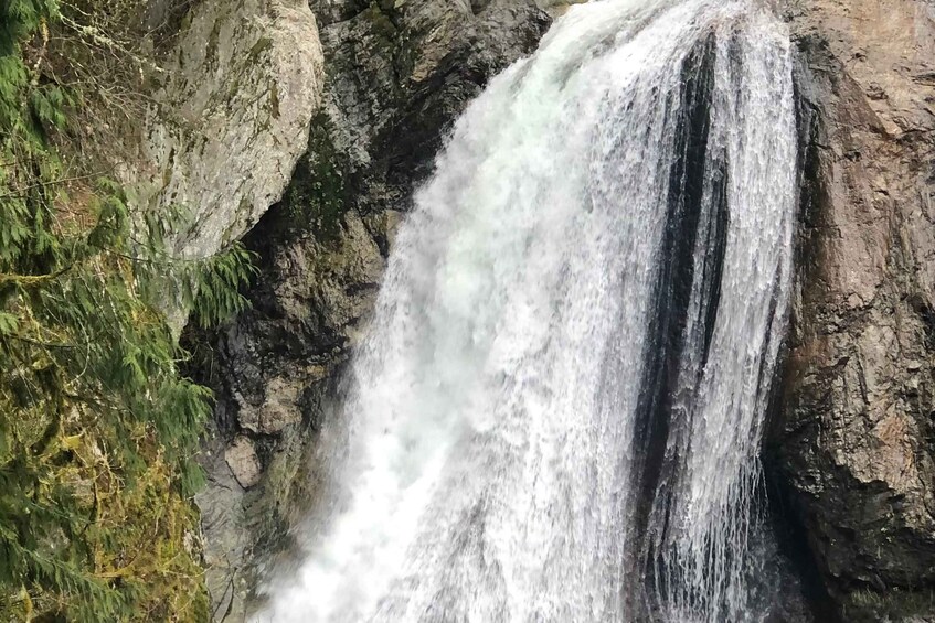 Picture 6 for Activity Seattle: Snoqualmie Falls and Twin Falls Guided Tour