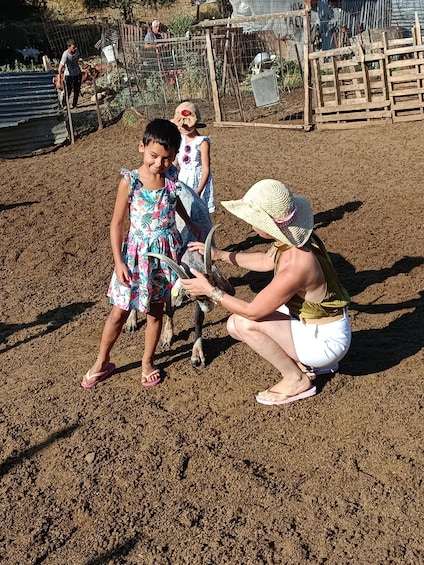 Picture 13 for Activity Thessaloniki: Visit a Farm and a traditional Village