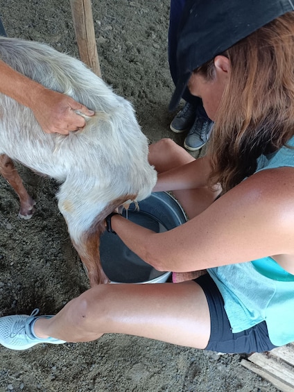 Picture 14 for Activity Thessaloniki: Visit a Farm and a traditional Village