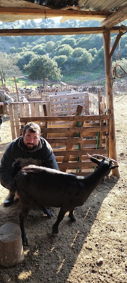 Picture 4 for Activity Thessaloniki: Visit a Farm and a traditional Village