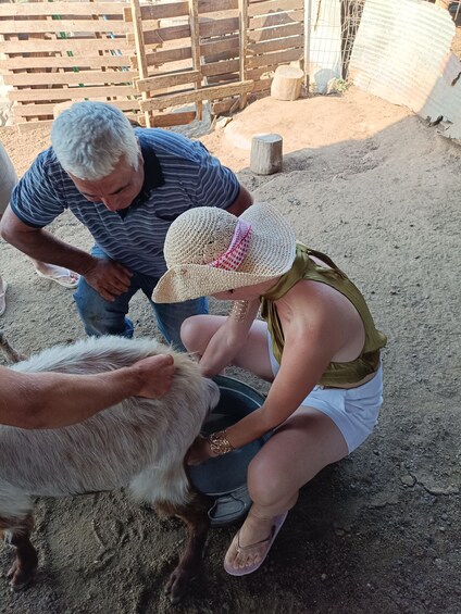 Picture 3 for Activity Thessaloniki: Visit a Farm and a traditional Village