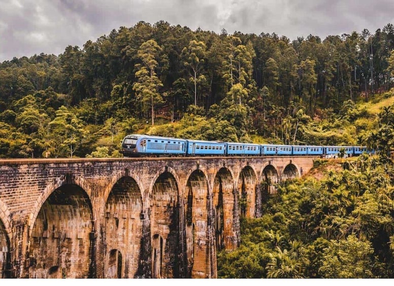 Picture 5 for Activity From Nuwara Eliya: Ella Rock, 9 Arch Bridge, & Little Adams