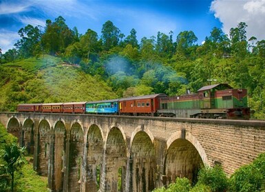 Desde Nuwara Eliya: Ella Rock, 9 Arch Bridge y Little Adams