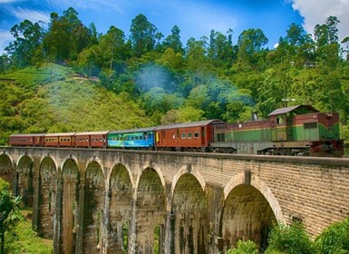 Depuis Nuwara Eliya : Ella Rock, 9 Arch Bridge, et Little Adams