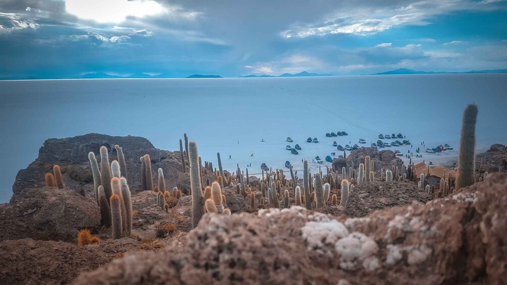 Picture 13 for Activity From La Paz: 3-Day Biking Tour Death Road & Uyuni Salt Flats