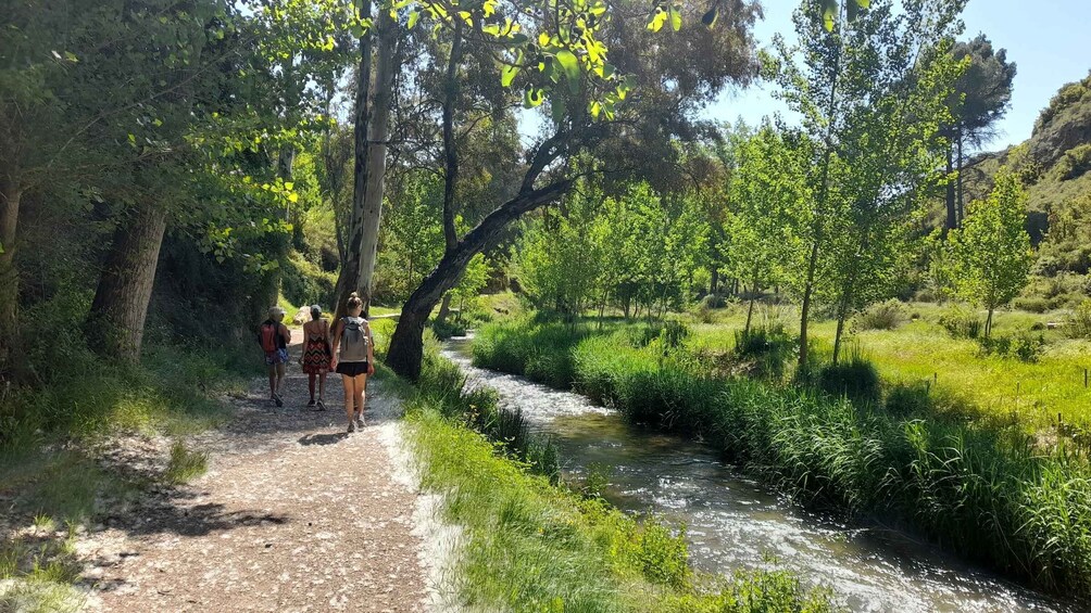 Picture 4 for Activity From Valencia: Peña Cortada Aqueduct Hiking Day Tour