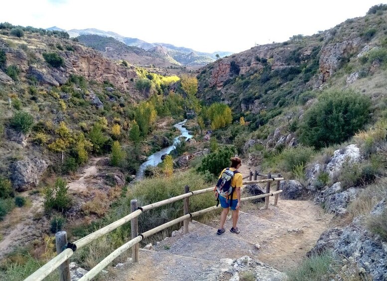 Picture 3 for Activity From Valencia: Peña Cortada Aqueduct Hiking Day Tour