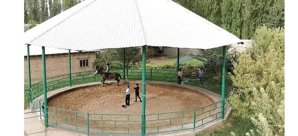 Picture 13 for Activity Horse Riding in Tashkent