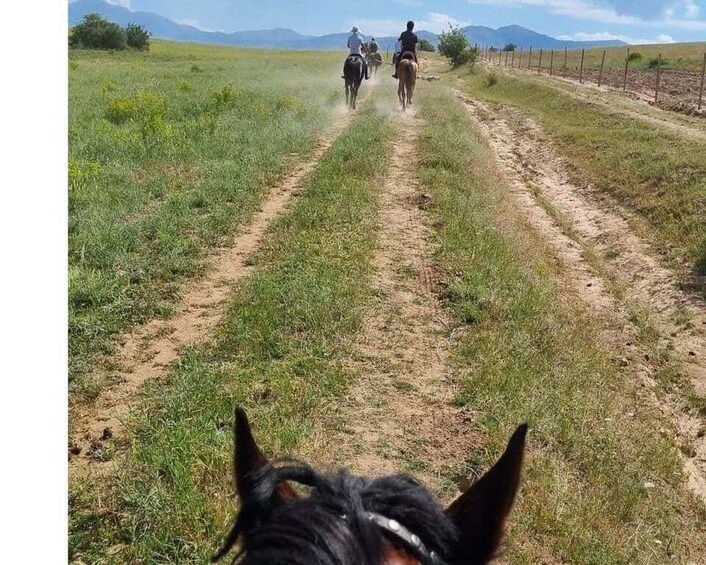 Picture 10 for Activity Horse Riding in Tashkent