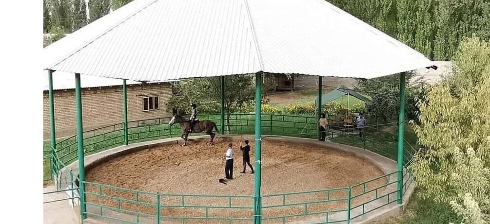 Picture 13 for Activity Horse Riding in Tashkent