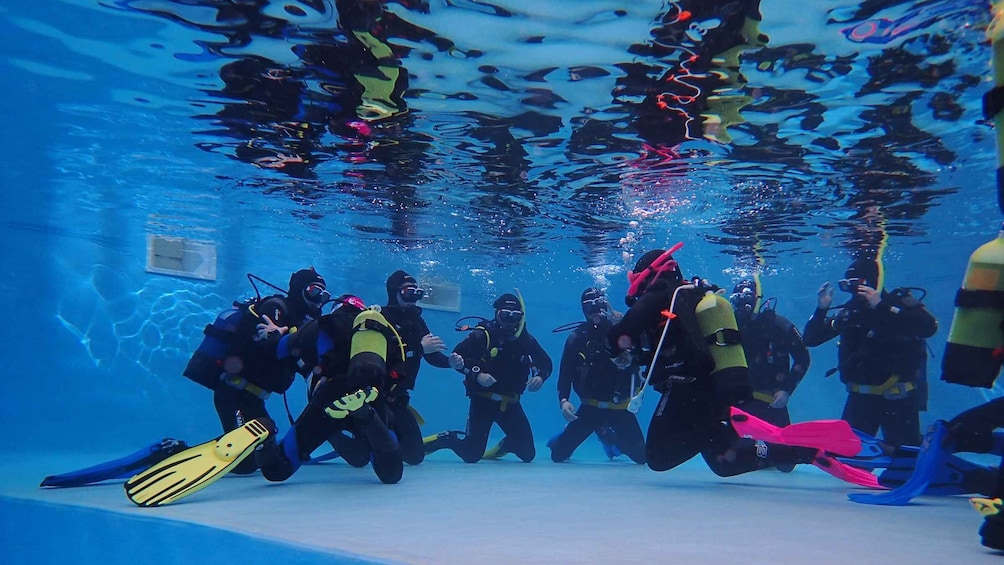 Picture 1 for Activity Arrábida: Open Water Diver Course in Arrábida Marine Reserve