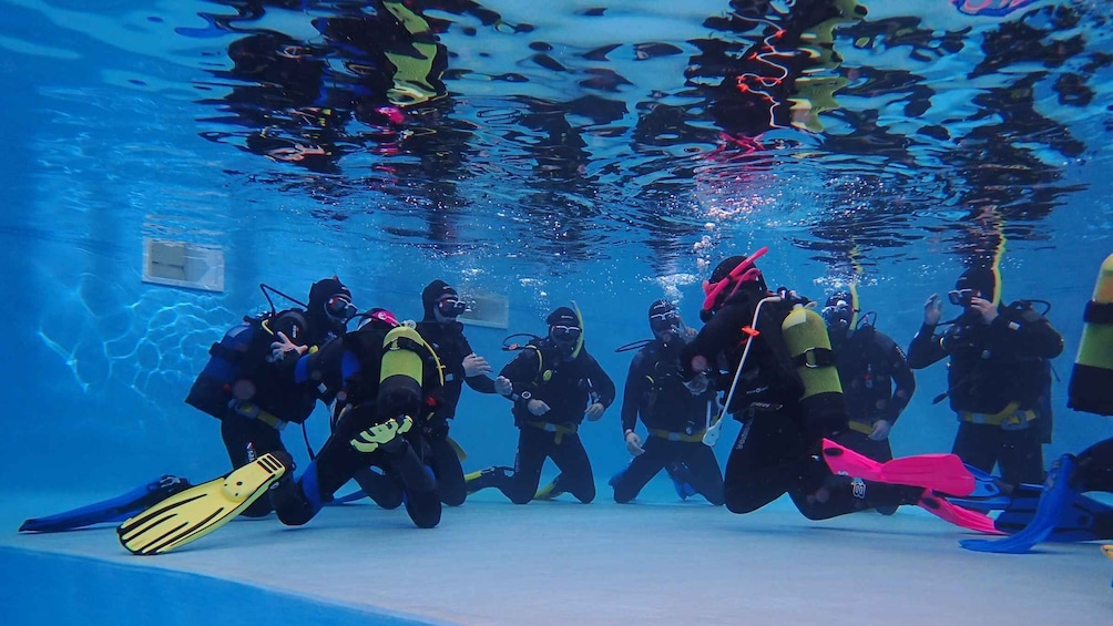 Picture 1 for Activity Arrábida: Open Water Diver Course in Arrábida Marine Reserve