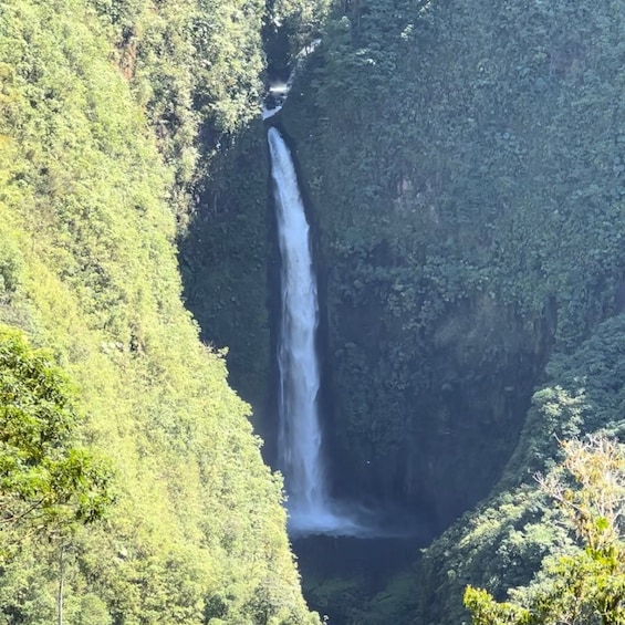 Picture 1 for Activity La Paz Waterfall and Cinchona Tour