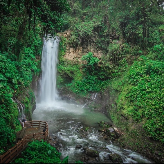 Picture 4 for Activity La Paz Waterfall and Cinchona Tour