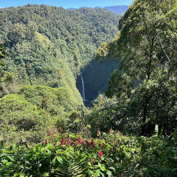 La Paz Waterfall and Cinchona Tour