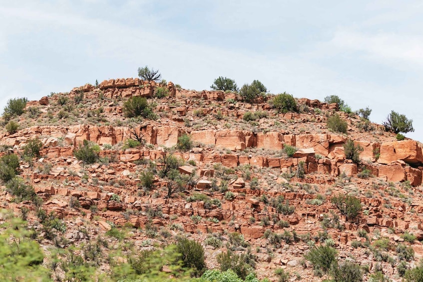 Picture 15 for Activity From Sedona: Sightseeing Railroad Tour of Verde Canyon