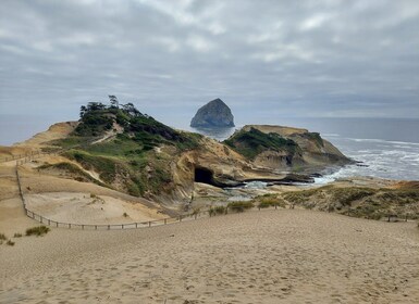 Desde Portland: excursión de un día a la costa de Oregón a Three Capes Loop