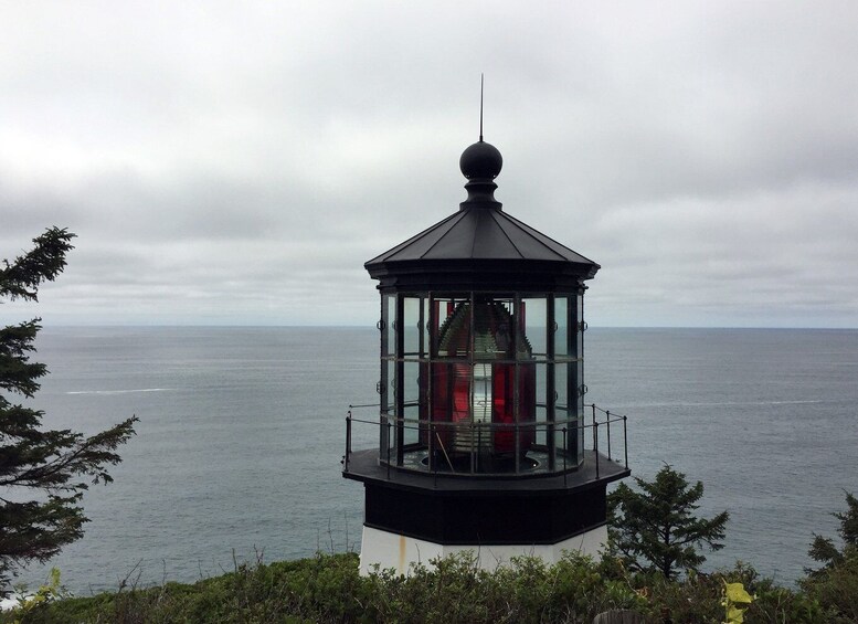 Picture 4 for Activity From Portland: Oregon Coast Day Trip to Three Capes Loop