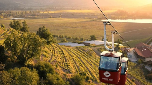 Desde Santiago: tour privado de vinos en el valle de Colchagua