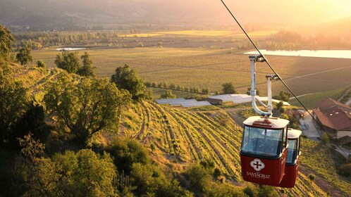 Da Santiago: Tour privato dei vini nella Valle di Colchagua